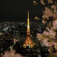 アンダーズ東京のルーフトップバーで、桜が楽しめる「お花見ガーデン」が開催