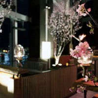 アンダーズ東京のルーフトップバーで、桜が楽しめる「お花見ガーデン」が開催