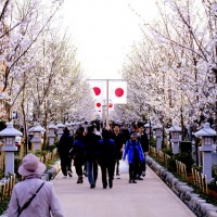 グルーヴィナッツが鎌倉の鶴岡八幡宮付近に2号店をオープン