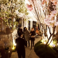 アンダーズ東京のルーフトップバーで、桜が楽しめる「お花見ガーデン」が開催
