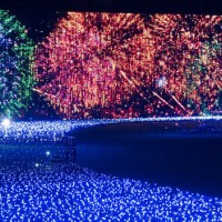 夏の夜空を色鮮やかなひかり花火で彩るイルミネーション「サマーライトガーデン」