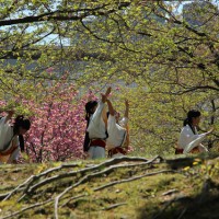 一流の舞台や芸能をはしごで観られる和の祭典「アート・ミックス・ジャパン」