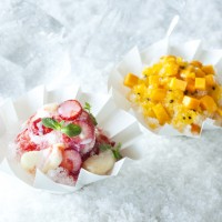 「フレッシュフルーツ KAKIGORI」