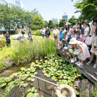 「六本木ヒルズのヒミツ探検ダイジェストツアー」