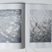 濱田祐史による個展「36 lights #01」がロケットにて開催