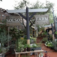 SOLSO FARM