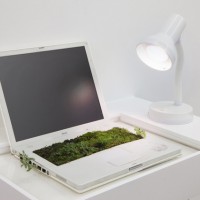 IBookgarden ｜2014ラップトップコンピュータ、水、植物、土、棚、卓上ランプ、昼光色の電球｜42 x 65 x 44 cmLaptop, water, plants, earth, shelf, desktop lamp with daylight bulb ｜42 x 65 x 44 cm