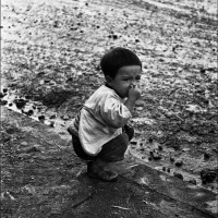 国内外の芸術写真界をリードする写真家や出版社が一同に集い、厳選されたアートフォトを展示する「代官山フォトフェア」が開催