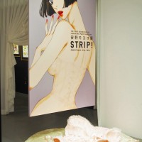 「安野モヨコ展 『STRIP!』PORTFOLIO 1996-2016」