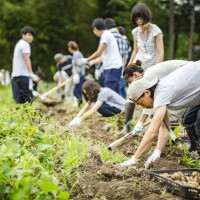 青山ファーマーズマーケットの新拠点である石川県小松市のTAKIGAHARA FARMにて「滝ヶ原フェスティバル －クラフト ＆ クラフトフード－」が初開催