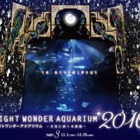 藤沢市にある新江ノ島水族館で「ナイトワンダーアクアリウム2016 ～月光に漂う水族館～」の最終章となるロマンチックなクリスマス演出がスタート