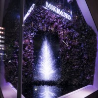 チームラボがミキモト銀座2丁目本店のショーウィンドウにてインタラクティブ作品「Sparkling Dream Tree by teamLab」を展示