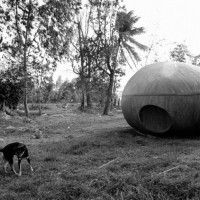 《ナブア森の犬と宇宙船、2008年》2013年 発色現像方式印画 東京都写真美術館蔵