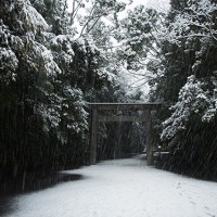 雪の伊勢神宮　内宮参道　 (Sando, Naiku)