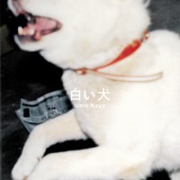 『白い犬』梅佳代