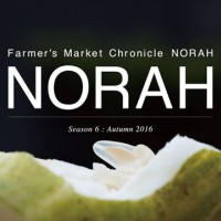 “種”をテーマにしたイベント「NORAH MARKET - Think and Feel Seed -」が開催