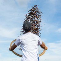 コーヒー生産者が来日