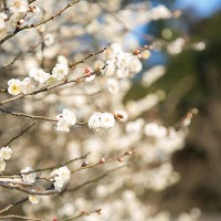 「鹿児島睦の造形展」