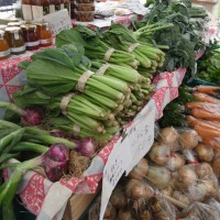 新鮮な野菜やこだわりの食品が並ぶ