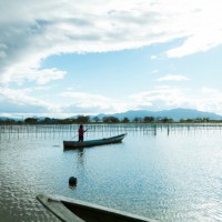 びわ湖真珠養殖場