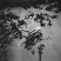 Nobuyoshi Araki, Tombeau Tokyo, 2016, gelatin silver print