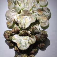 津村耕佑の個展「RECOMBINATION」