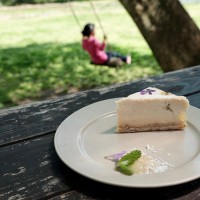 グルテンフリー、ソイフリーで仕上げた「キウイのローチーズケーキ（450円）」。チーズケーキとはいえ、もちろんヴィーガン。敷地内で摘んだスミレを押し花にしてデコレーションに