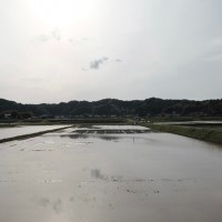 日本の原点である自然と人間が共生する里山の風景が、都会からそう遠くない千葉県いすみ市にあります