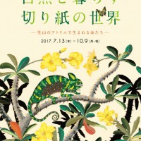 今森光彦の特別展が神戸ファッション美術館で開催