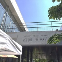 「湘南 蚤の市」7月17日と18日に開催