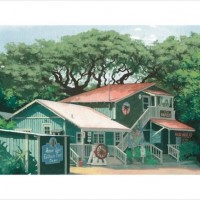 Louis Vuitton Travel Book Hawaii, illustre par Esad Ribic, 2017: house in Old Koloa Town.