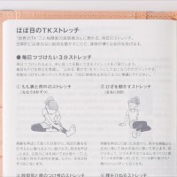 カズン ほぼ日の TK ストレッチ