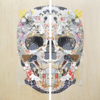 Mirror-skull  ,2015,91.0x91.0x12.0cm,mixedmedia