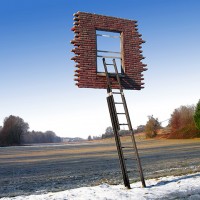 レアンドロ・エルリッヒ < Window and Ladder - Too Late to Ask for Help > 2008