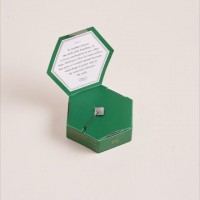 MENTHE CORIANDRE CONCOMBRE（50メートル、1,600円）