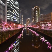 過去実施風景