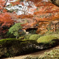 東京都庭園美術館 庭園