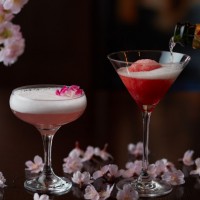 右 桜のシャンパンソルベ（2,000円）、左 桜（1,700円）