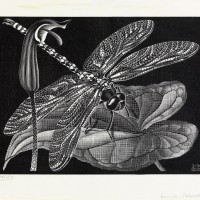 《トンボ》 1936年 All M.C. Escher works