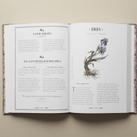 AN ATLAS OF NATURAL BEAUTY BOTANICAL INGREDIENTS FOR RETAINING AND ENHANCING BEAUTY by Victoire de Taillac and Ramdane Touhami