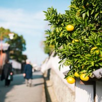 山口県萩市イメージ