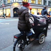 子どもを乗せるカートが前についた自転車