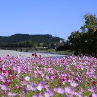 「スノーピークおち仁淀川キャンプフィールド」と「スノーピークおち仁淀川」が4月22日、高知県・越知町にオープン予定