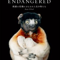 『ENDANGERED 絶滅の危機にさらされた生き物たち』ティム・フラック