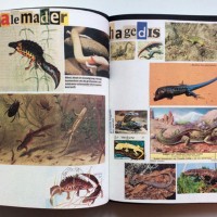 『Animal Books For / Dierenboeken Voor Jaap Zeno Anna Julian Luca』Lous Martens