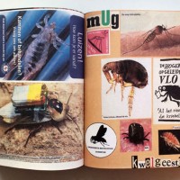 『Animal Books For / Dierenboeken Voor Jaap Zeno Anna Julian Luca』Lous Martens