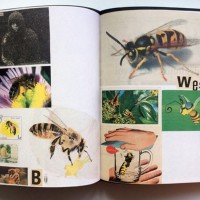 『Animal Books For / Dierenboeken Voor Jaap Zeno Anna Julian Luca』Lous Martens