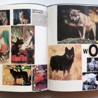 『Animal Books For / Dierenboeken Voor Jaap Zeno Anna Julian Luca』Lous Martens