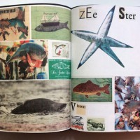 『Animal Books For / Dierenboeken Voor Jaap Zeno Anna Julian Luca』Lous Martens