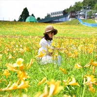 神戸・六甲山で「初夏の花めぐり ROKKO フォトグラフィックガーデン」を、5月11日から7月31日まで初開催